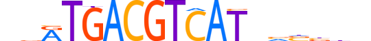 CREB5.H14RSNP.1.SM.B motif logo (CREB5 gene, CREB5_HUMAN protein)