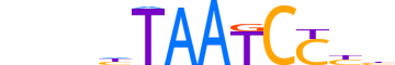 CRX.H14RSNP.0.PSM.A reverse-complement motif logo (CRX gene, CRX_HUMAN protein)