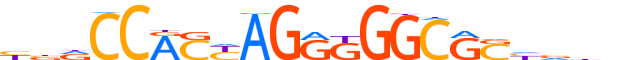 CTCF.H14RSNP.0.P.B motif logo (CTCF gene, CTCF_HUMAN protein)