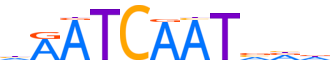 CUX2.H14RSNP.0.P.C reverse-complement motif logo (CUX2 gene, CUX2_HUMAN protein)