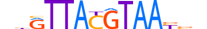 DBP.H14RSNP.0.SM.B motif logo (DBP gene, DBP_HUMAN protein)