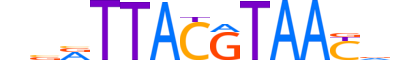 DBP.H14RSNP.0.SM.B reverse-complement motif logo (DBP gene, DBP_HUMAN protein)