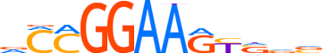 ERG.H14RSNP.0.P.B motif logo (ERG gene, ERG_HUMAN protein)