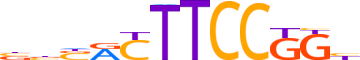ERG.H14RSNP.0.P.B reverse-complement motif logo (ERG gene, ERG_HUMAN protein)