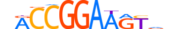 ETS1.H14RSNP.0.S.B motif logo (ETS1 gene, ETS1_HUMAN protein)