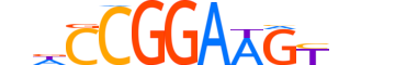 ETV5.H14RSNP.0.PS.A motif logo (ETV5 gene, ETV5_HUMAN protein)