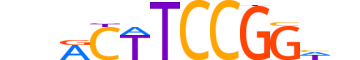 ETV5.H14RSNP.0.PS.A reverse-complement motif logo (ETV5 gene, ETV5_HUMAN protein)