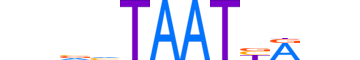 EVX1.H14RSNP.0.SM.B motif logo (EVX1 gene, EVX1_HUMAN protein)