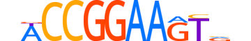 FLI1.H14RSNP.0.PSM.A motif logo (FLI1 gene, FLI1_HUMAN protein)