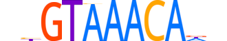 FOXJ2.H14RSNP.0.PSM.A reverse-complement motif logo (FOXJ2 gene, FOXJ2_HUMAN protein)