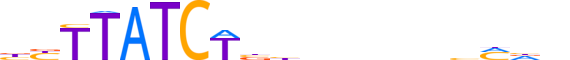 GATA2.H14RSNP.1.P.B reverse-complement motif logo (GATA2 gene, GATA2_HUMAN protein)