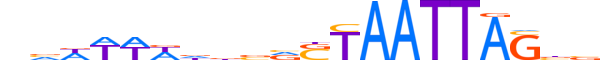 GBX1.H14RSNP.1.S.D reverse-complement motif logo (GBX1 gene, GBX1_HUMAN protein)