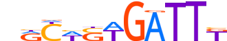 GFI1B.H14RSNP.0.PSM.D motif logo (GFI1B gene, GFI1B_HUMAN protein)