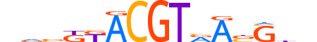 GMEB2.H14RSNP.2.SM.D motif logo (GMEB2 gene, GMEB2_HUMAN protein)