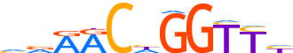 GRHL2.H14RSNP.1.P.B motif logo (GRHL2 gene, GRHL2_HUMAN protein)