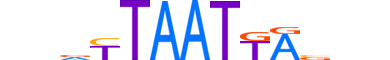 GSX2.H14RSNP.0.SM.B motif logo (GSX2 gene, GSX2_HUMAN protein)