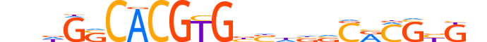 HES1.H14RSNP.0.S.D motif logo (HES1 gene, HES1_HUMAN protein)