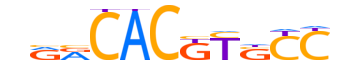 HES5.H14RSNP.0.SM.B motif logo (HES5 gene, HES5_HUMAN protein)