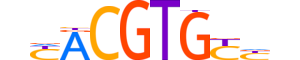 HES7.H14RSNP.0.S.D reverse-complement motif logo (HES7 gene, HES7_HUMAN protein)