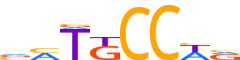 HIC2.H14RSNP.0.P.D motif logo (HIC2 gene, HIC2_HUMAN protein)