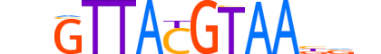 HLF.H14RSNP.1.SM.B motif logo (HLF gene, HLF_HUMAN protein)
