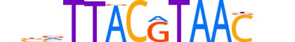 HLF.H14RSNP.1.SM.B reverse-complement motif logo (HLF gene, HLF_HUMAN protein)