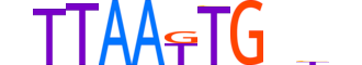 HMX1.H14RSNP.0.SM.B motif logo (HMX1 gene, HMX1_HUMAN protein)