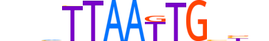 HMX3.H14RSNP.0.S.B motif logo (HMX3 gene, HMX3_HUMAN protein)