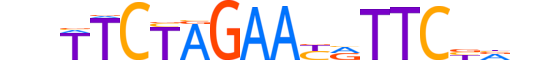 HSF2.H14RSNP.0.PSM.A reverse-complement motif logo (HSF2 gene, HSF2_HUMAN protein)