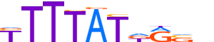 HXB13.H14RSNP.0.PS.A motif logo (HOXB13 gene, HXB13_HUMAN protein)