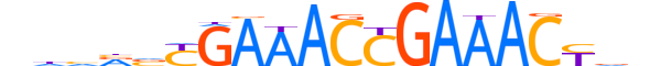 IRF5.H14RSNP.0.SM.B motif logo (IRF5 gene, IRF5_HUMAN protein)