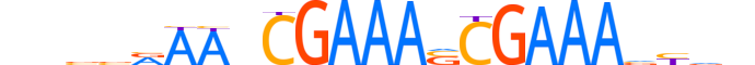 IRF7.H14RSNP.1.SM.B motif logo (IRF7 gene, IRF7_HUMAN protein)