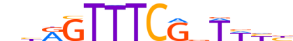 IRF8.H14RSNP.2.SM.B reverse-complement motif logo (IRF8 gene, IRF8_HUMAN protein)
