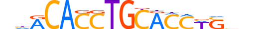 ITF2.H14RSNP.0.S.B reverse-complement motif logo (TCF4 gene, ITF2_HUMAN protein)