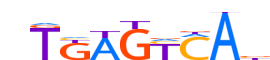 JUNB.H14RSNP.0.PM.A motif logo (JUNB gene, JUNB_HUMAN protein)