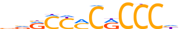 KLF1.H14RSNP.0.P.B reverse-complement motif logo (KLF1 gene, KLF1_HUMAN protein)