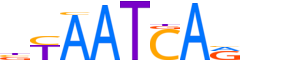 LHX6.H14RSNP.0.P.B motif logo (LHX6 gene, LHX6_HUMAN protein)