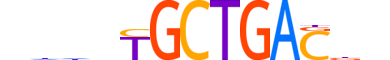 MAF.H14RSNP.1.PSM.A motif logo (MAF gene, MAF_HUMAN protein)