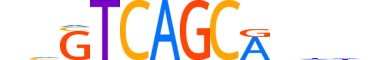 MAF.H14RSNP.1.PSM.A reverse-complement motif logo (MAF gene, MAF_HUMAN protein)