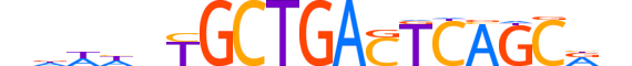 MAFA.H14RSNP.1.M.C motif logo (MAFA gene, MAFA_HUMAN protein)