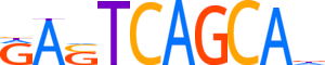 MAFF.H14RSNP.1.PSM.A motif logo (MAFF gene, MAFF_HUMAN protein)