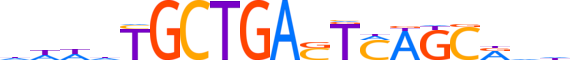 MAFG.H14RSNP.0.PSM.A motif logo (MAFG gene, MAFG_HUMAN protein)