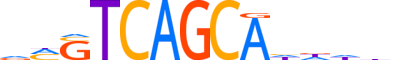 MAFG.H14RSNP.1.PSM.A reverse-complement motif logo (MAFG gene, MAFG_HUMAN protein)