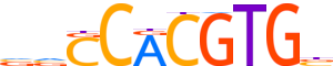 MAX.H14RSNP.0.PS.A reverse-complement motif logo (MAX gene, MAX_HUMAN protein)