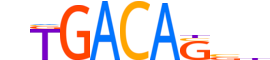 MEIS2.H14RSNP.1.PSM.A motif logo (MEIS2 gene, MEIS2_HUMAN protein)