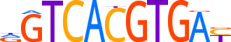 MITF.H14RSNP.0.P.B reverse-complement motif logo (MITF gene, MITF_HUMAN protein)