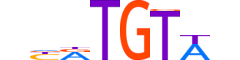 MKX.H14RSNP.0.PSGIB.D motif logo (MKX gene, MKX_HUMAN protein)