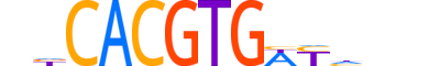 MLX.H14RSNP.1.SM.B motif logo (MLX gene, MLX_HUMAN protein)