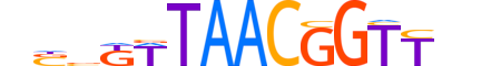 MYBB.H14RSNP.0.S.D reverse-complement motif logo (MYBL2 gene, MYBB_HUMAN protein)