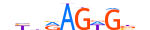 NKX22.H14RSNP.0.P.D motif logo (NKX2-2 gene, NKX22_HUMAN protein)